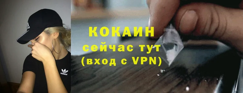 цены   Кинель  COCAIN Эквадор 